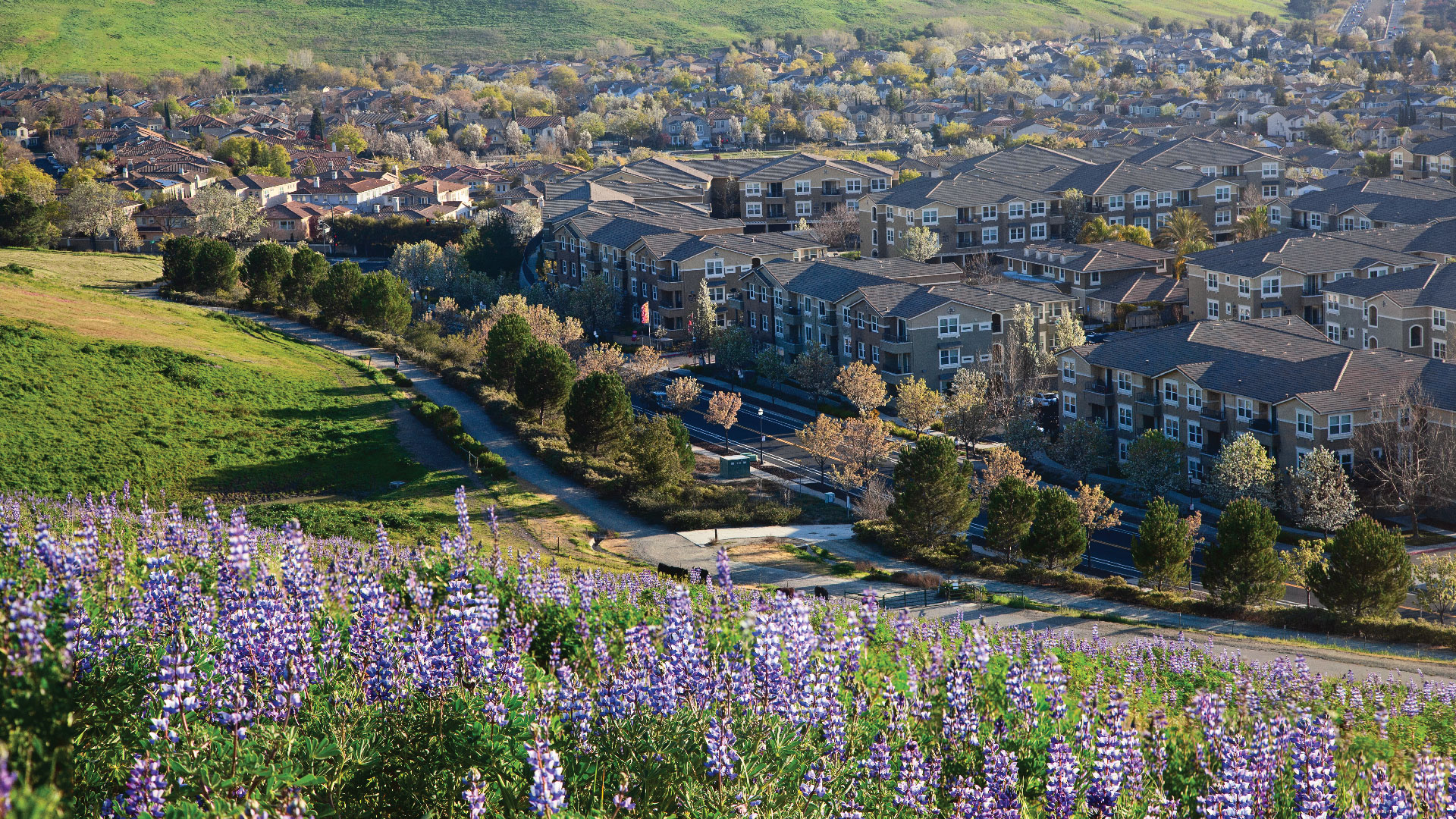 Clayton, CA