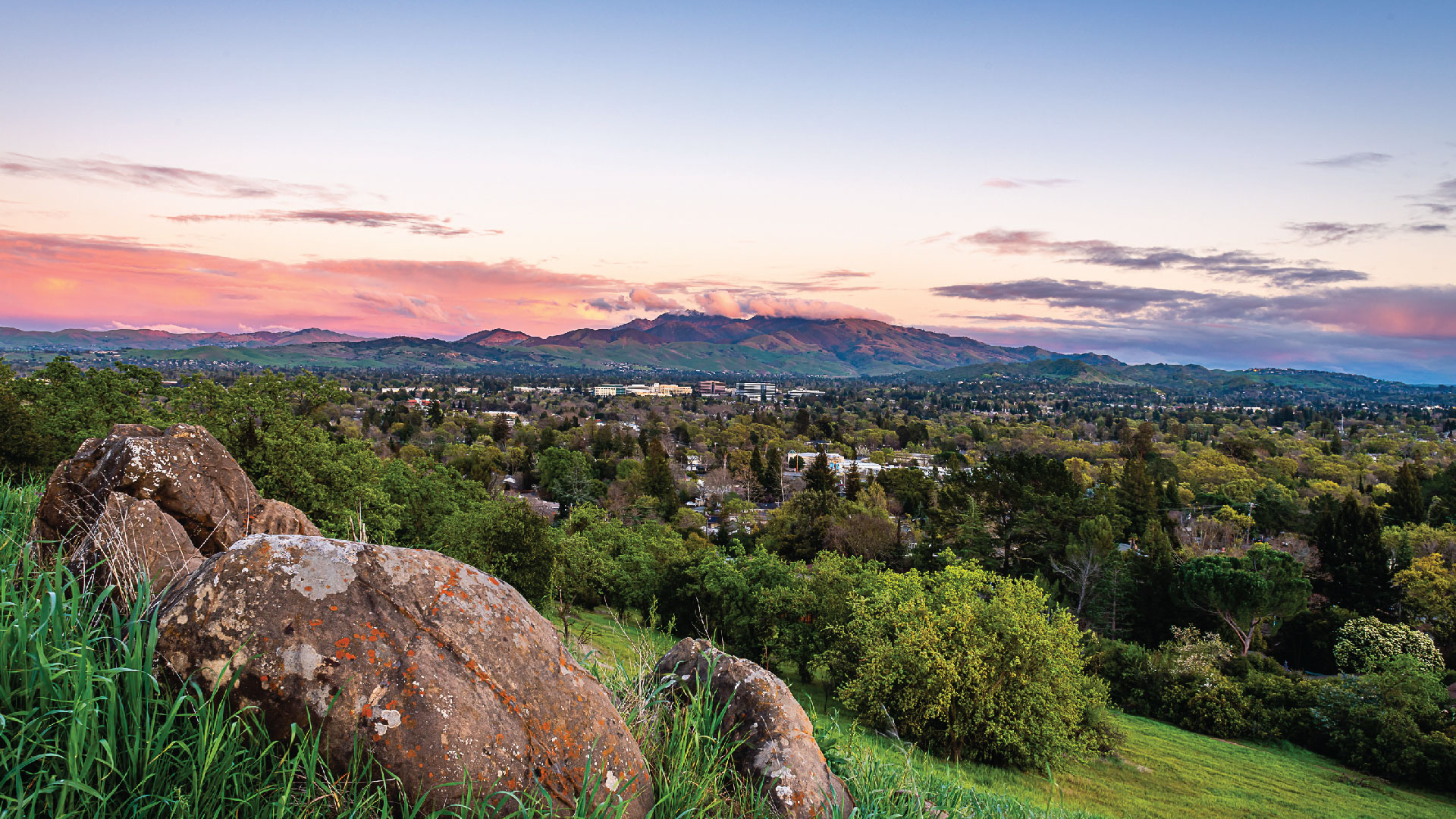 lafayette, california