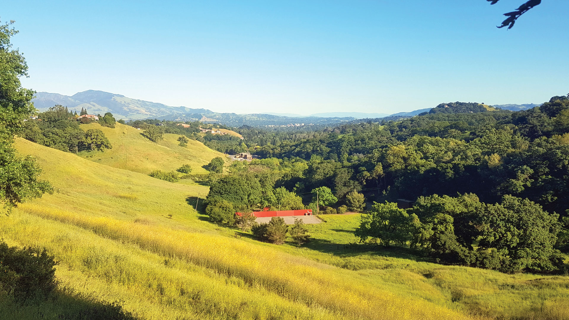walnut creek