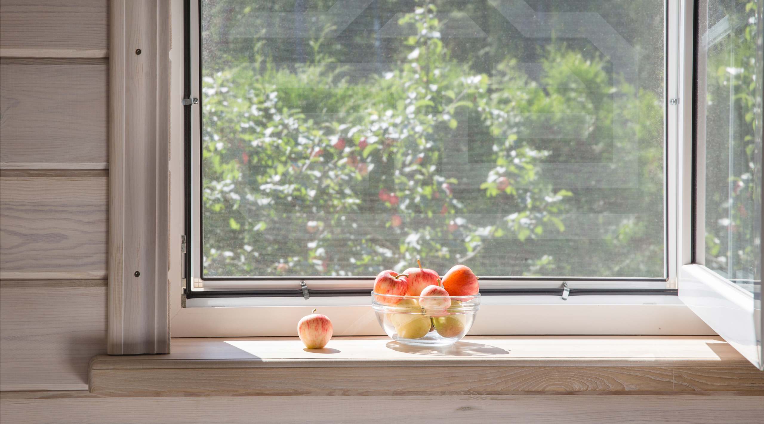 A bowl of apples resting on a window sill with an apple tree outside.